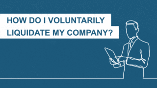 voluntary liquidation